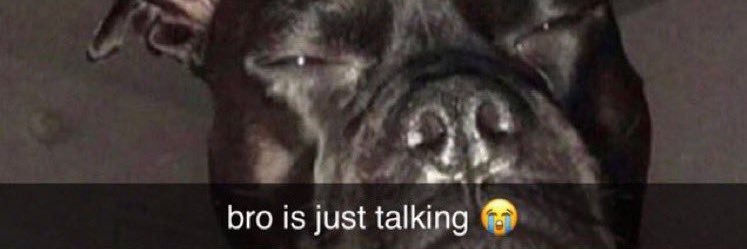 Hunter Canedy banner