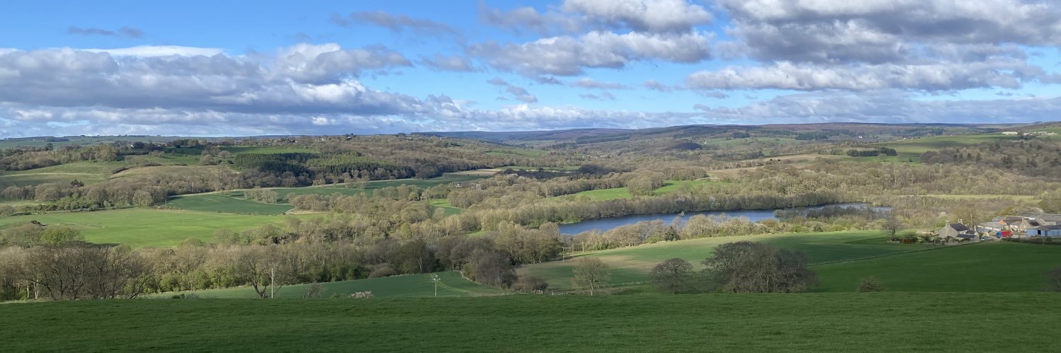 Dr Annie Topping banner