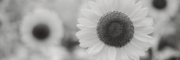 apr___8 Profile Banner