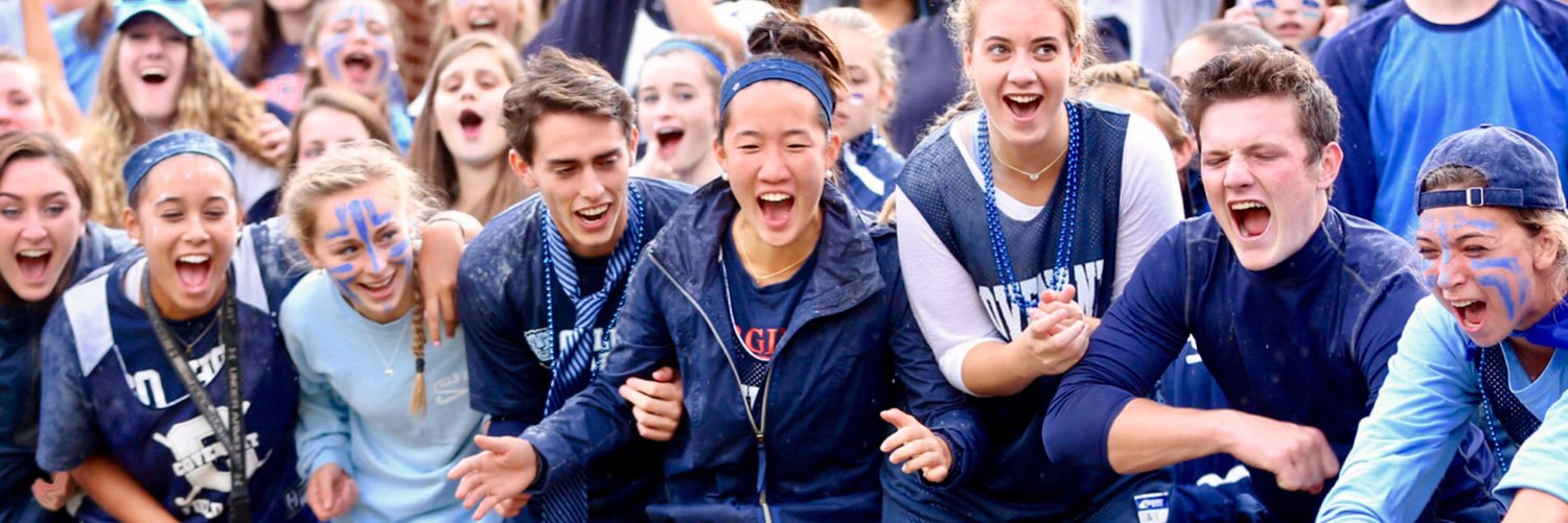 WarEagleSection's profile banner image