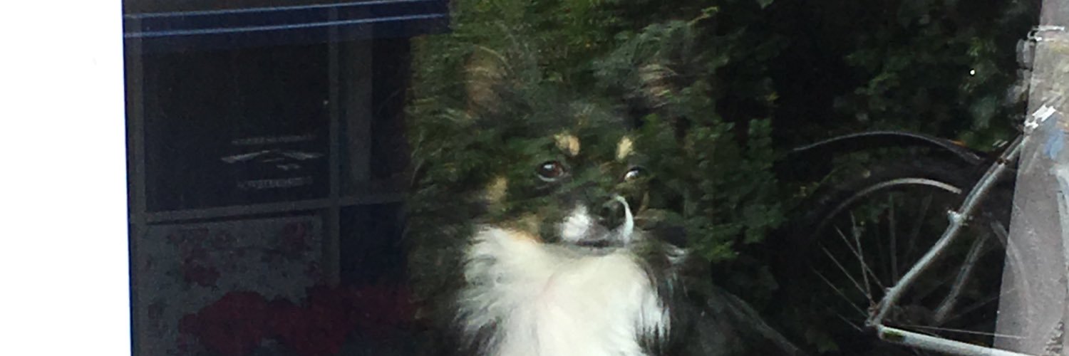 Ihateflowers's profile banner image