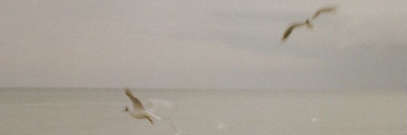 NereaCarpinter1's profile banner image