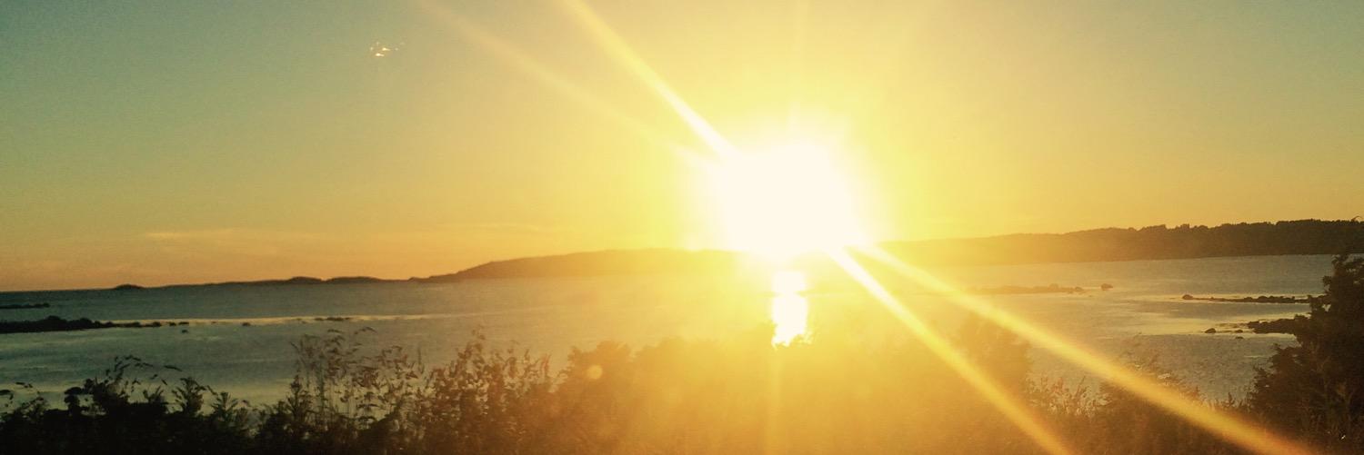 agnesung's profile banner image