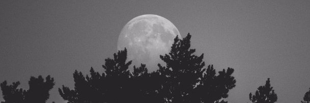jessethereader's profile banner image
