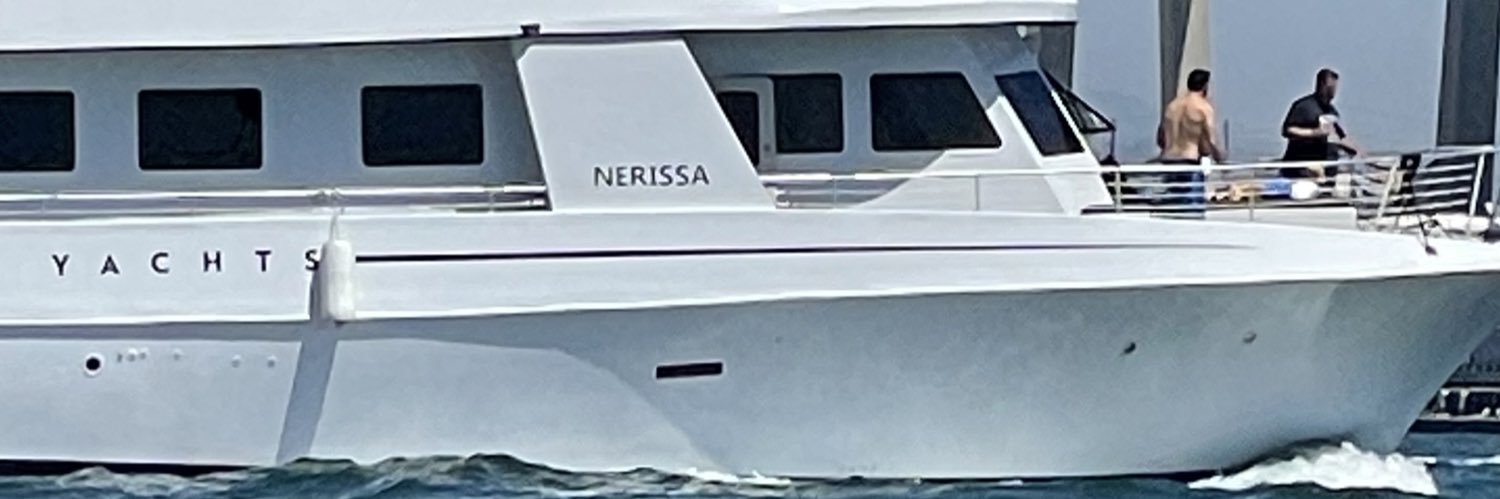 nerissapea's profile banner image