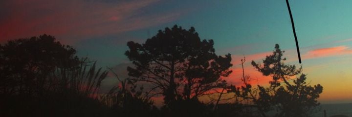 theegui's profile banner image
