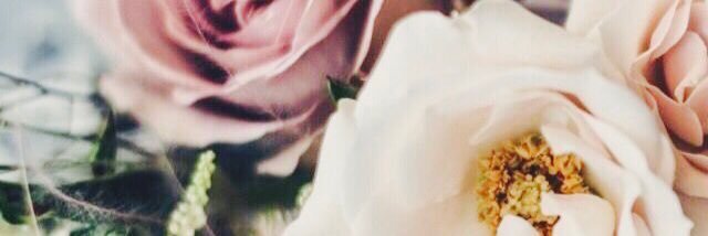 moretheMARrier's profile banner image