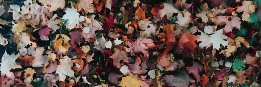 Martinawo's profile banner image