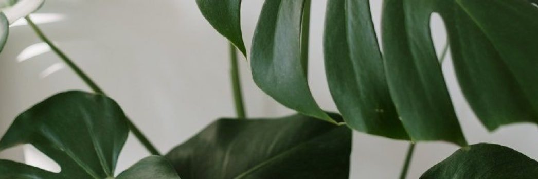 AndSheCares's profile banner image