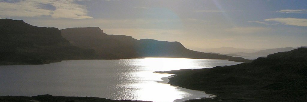 NewIntellectual banner