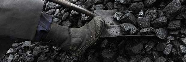 tendercoal's profile banner image