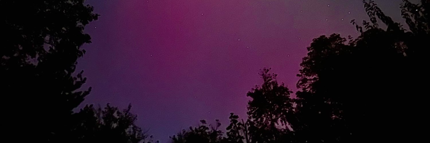 LValentinadp's profile banner image
