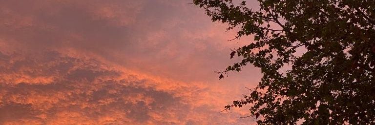 KarenAxaa's profile banner image