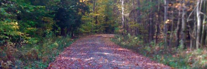 Dara Silverman 🔥 banner