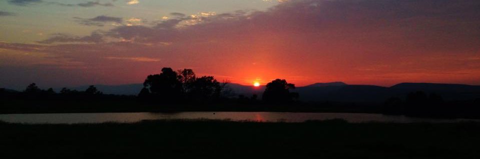 S_Millsap's profile banner image