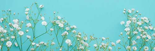 eli0606v's profile banner image