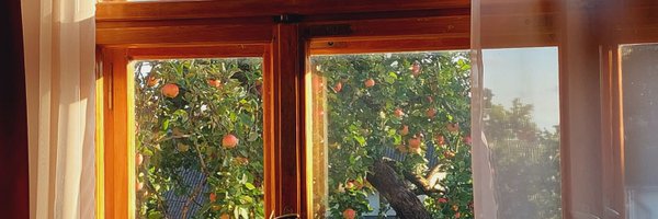 Dzholanta Profile Banner