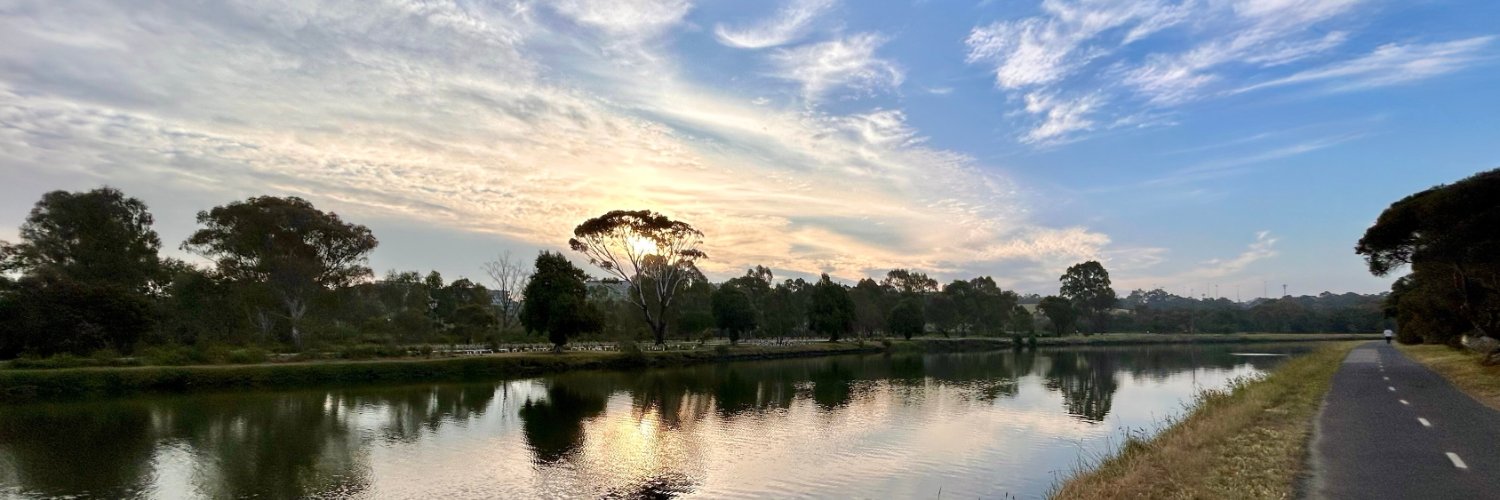 Caroline Chen banner