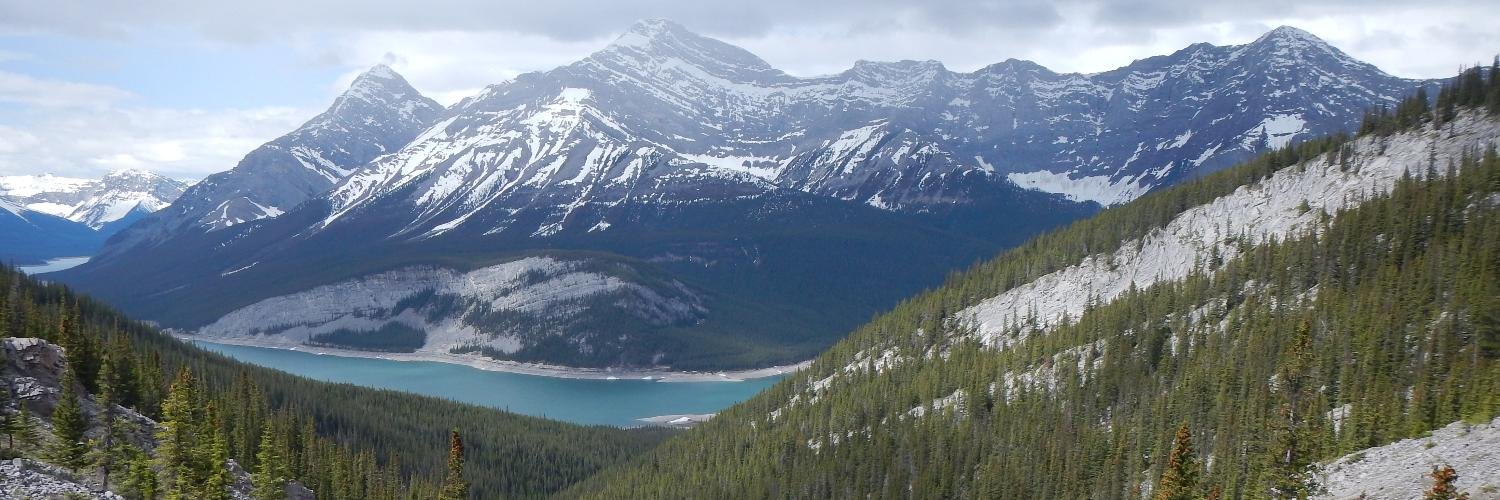 Rachel Feddema banner