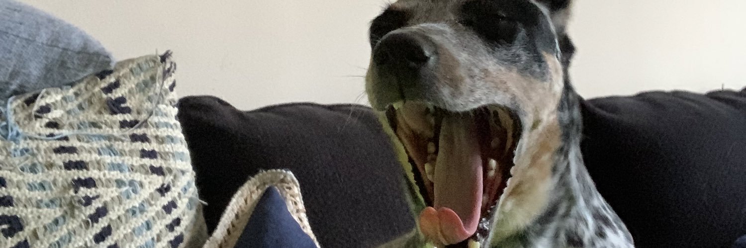JustinFigel's profile banner image