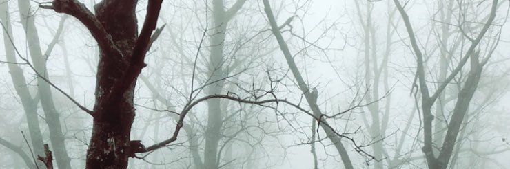 BrookeBMitchell's profile banner image