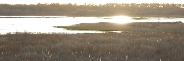 LisaSandlin Profile Banner