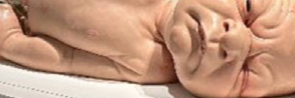 meno_mena1's profile banner image