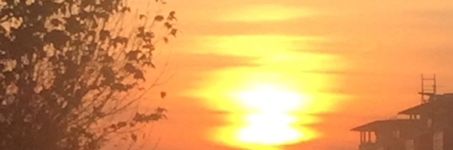 chelysjose's profile banner image