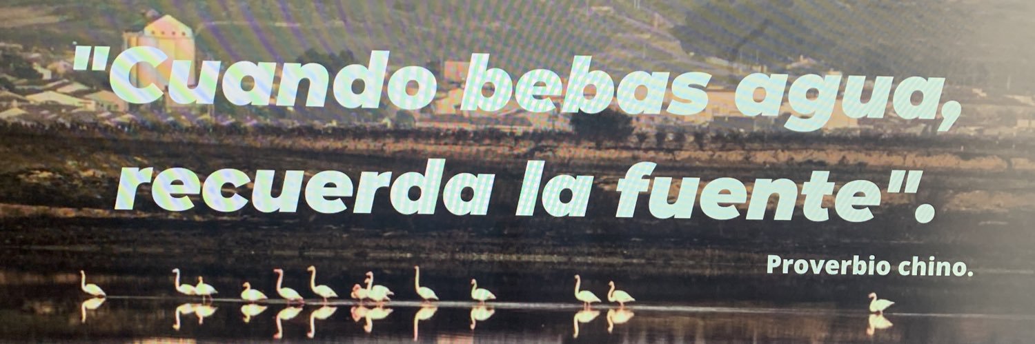 pedrosabm's profile banner image