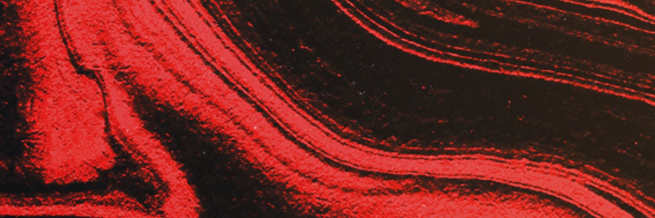 goncalonunes__'s profile banner image