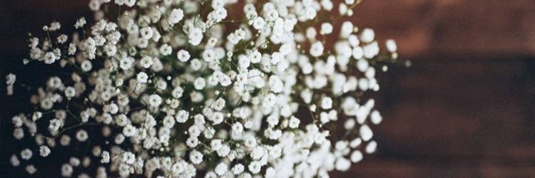 _rina04_'s profile banner image