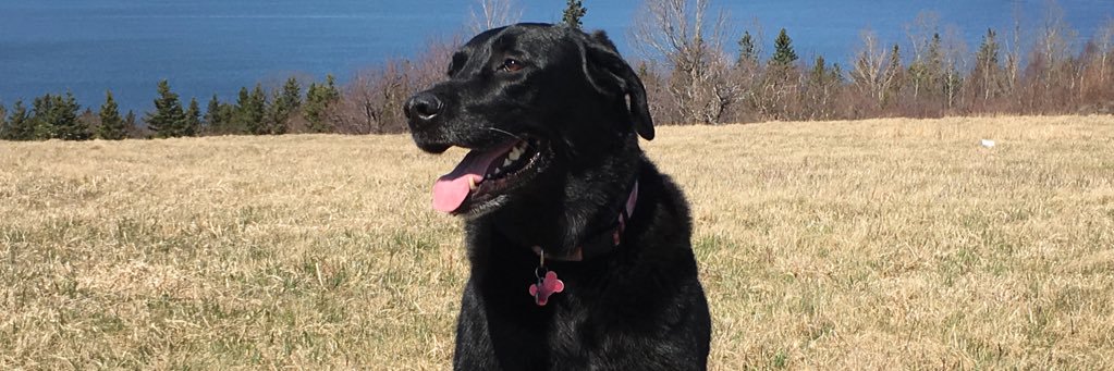 Taylor_Melanson's profile banner image