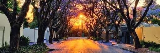 SimoSifiso's profile banner image
