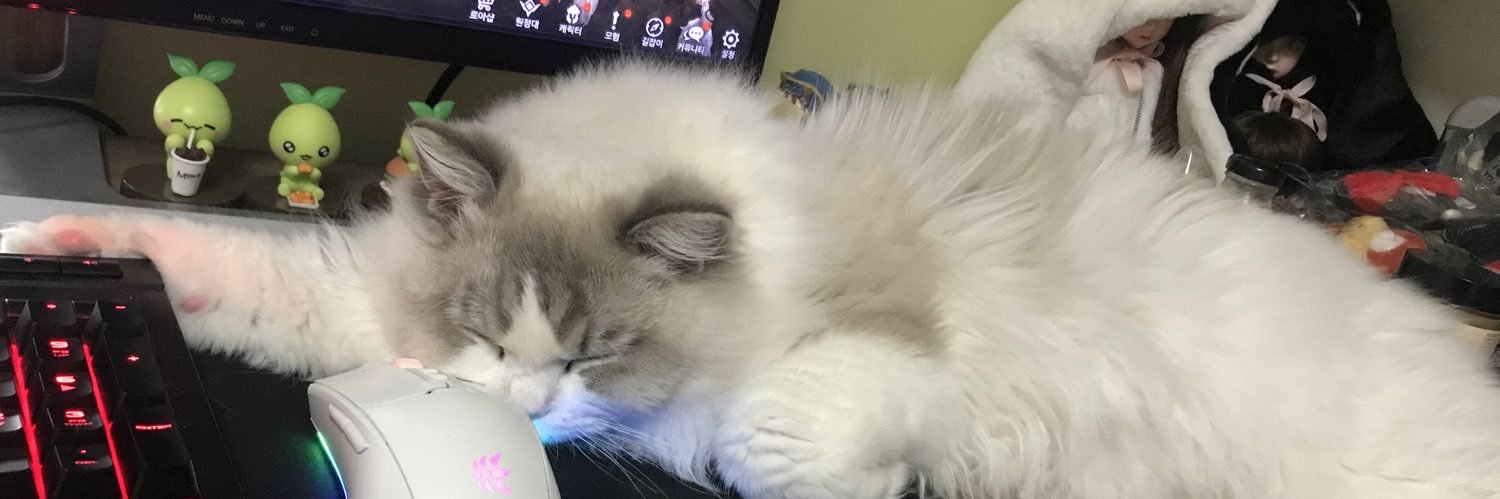 CHAoMint's profile banner image