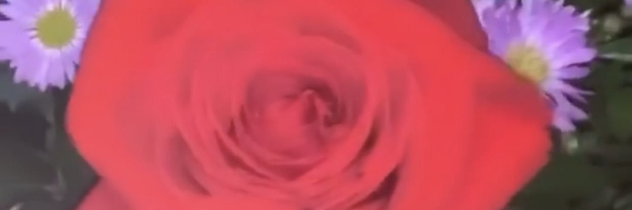 LCbae_'s profile banner image
