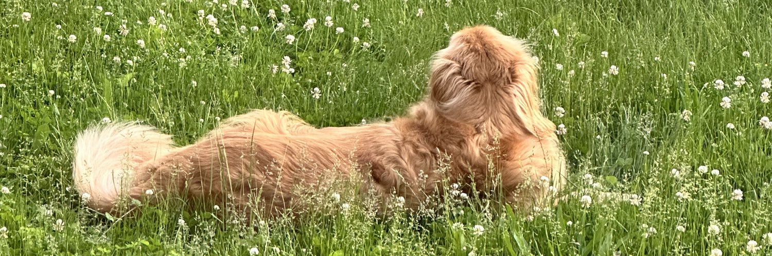 Nate Schroeder banner