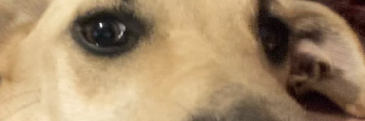 Annaisodette's profile banner image
