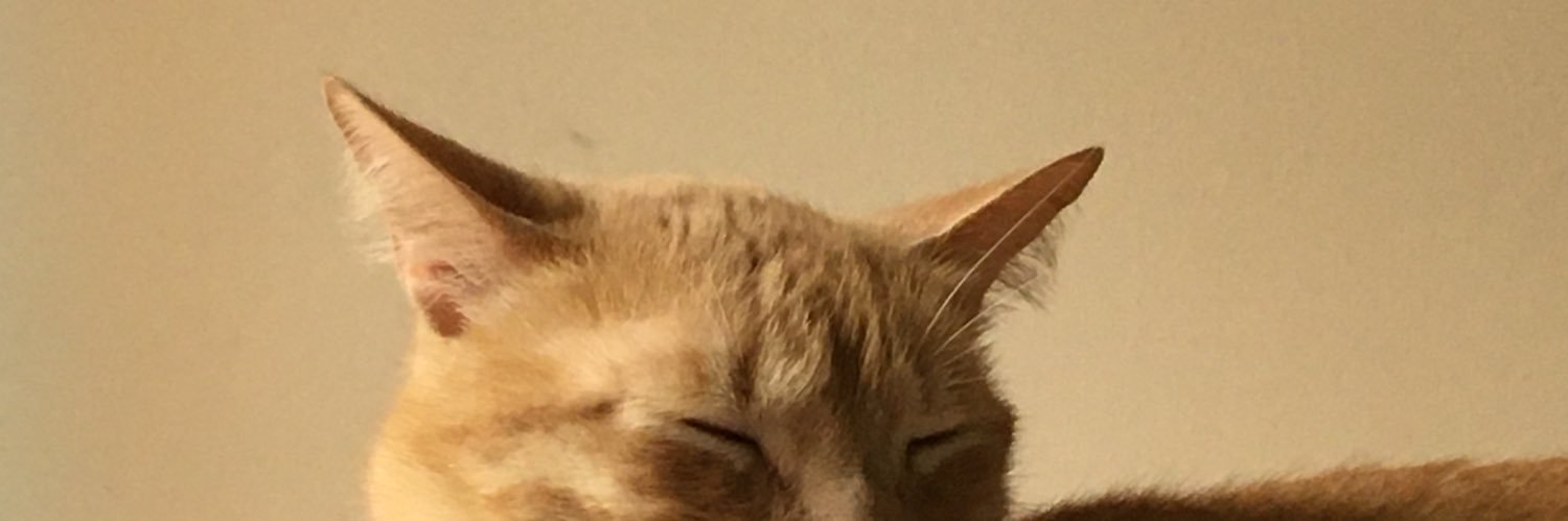 non_an_'s profile banner image