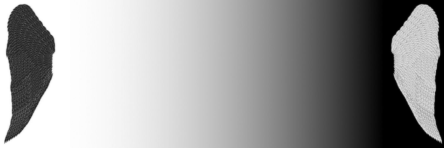 Literarion's profile banner image