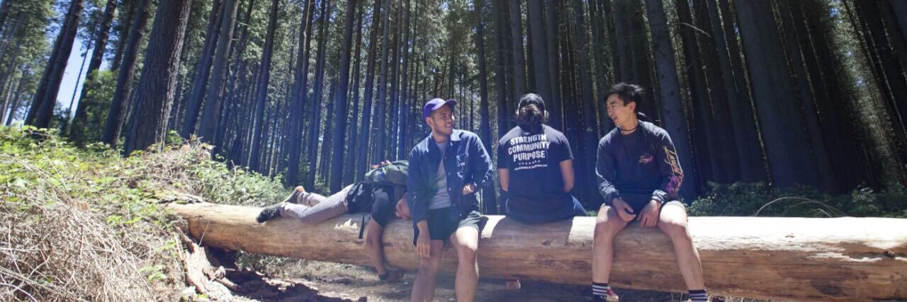 nicfishhh's profile banner image