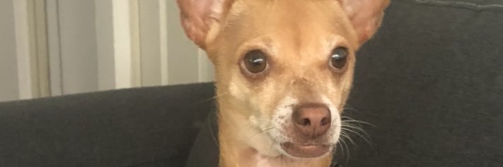 Jose Luis Ayala banner