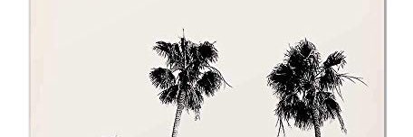 CiarraRayne__'s profile banner image