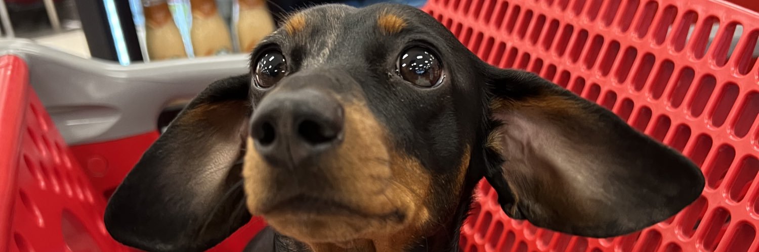 angiemets's profile banner image