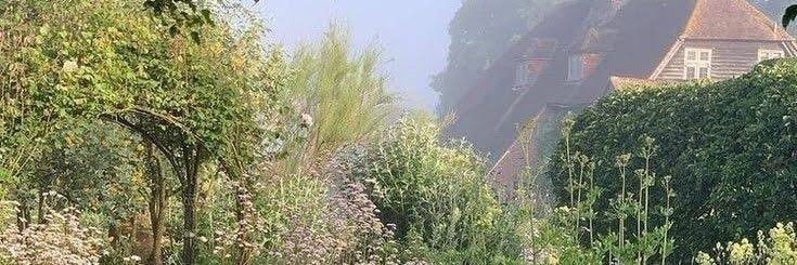 Aina Star 𖤓☽ | ☆ (IA) banner