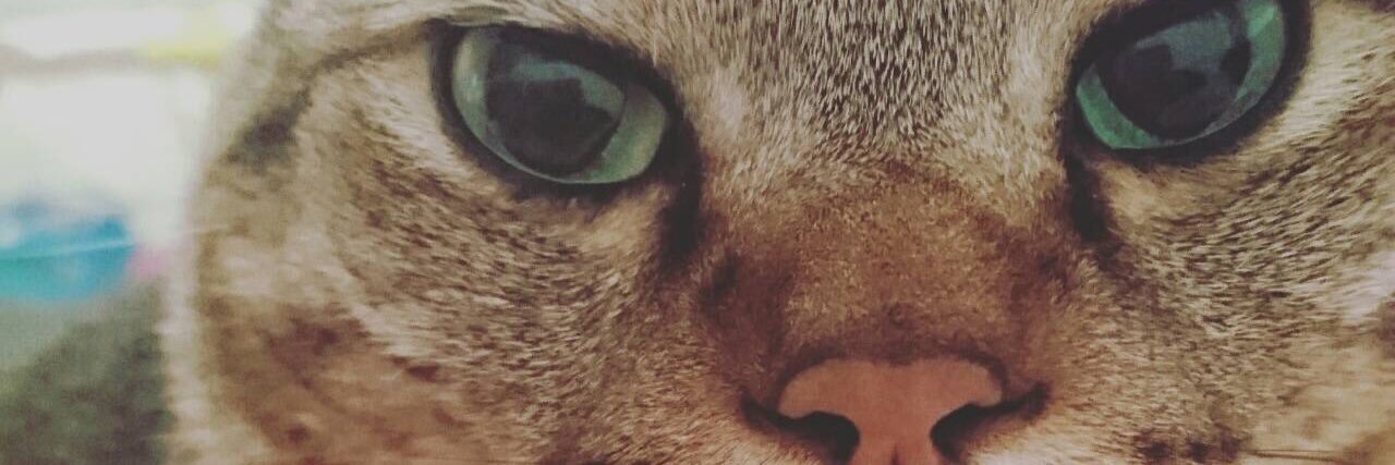 badcnis's profile banner image