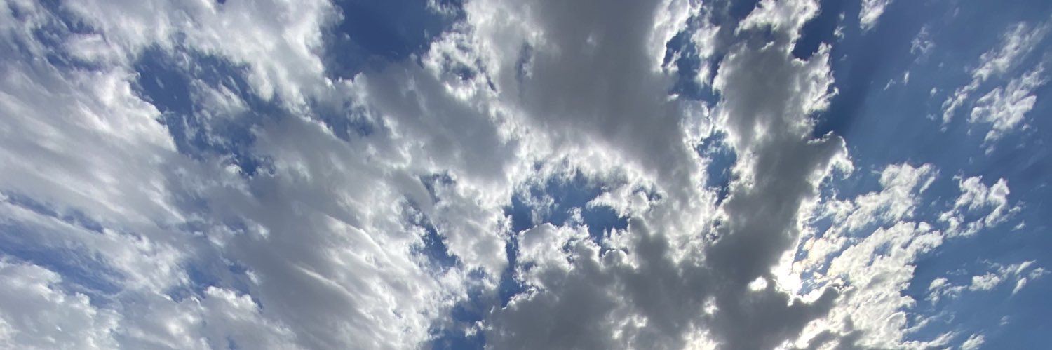 paulinaellem's profile banner image