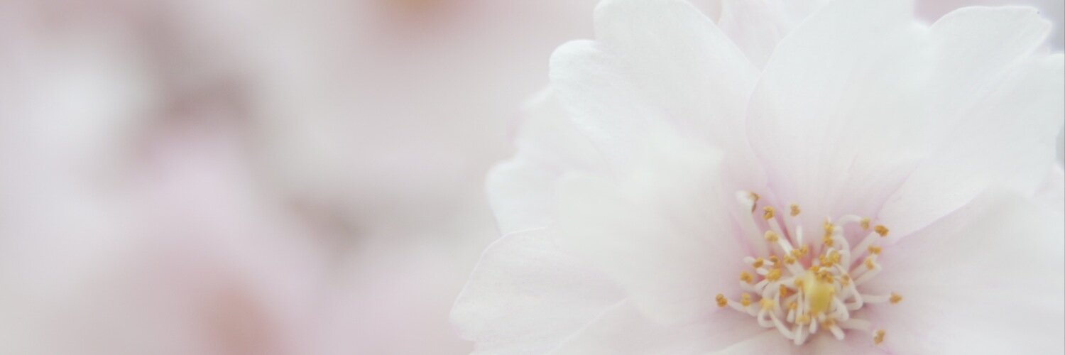 nacookan's profile banner image