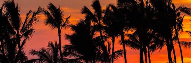 crazybrainfuel's profile banner image