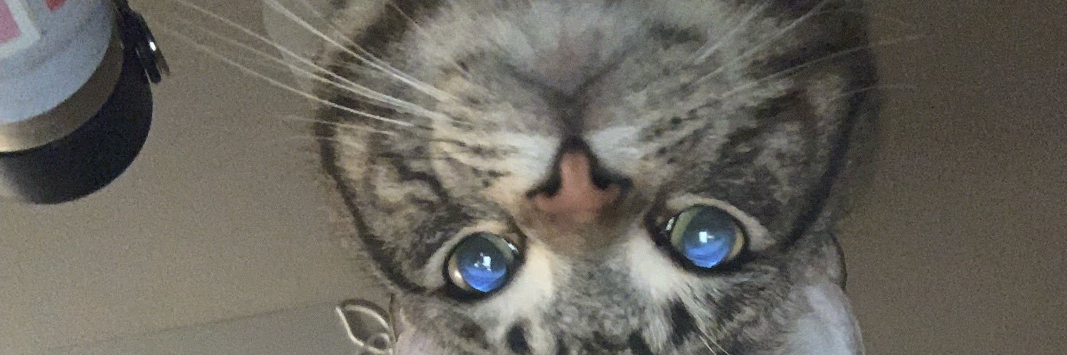 dysert4's profile banner image