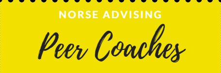 NKUPeerCoach's profile banner image